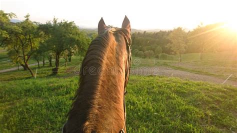 pov riding